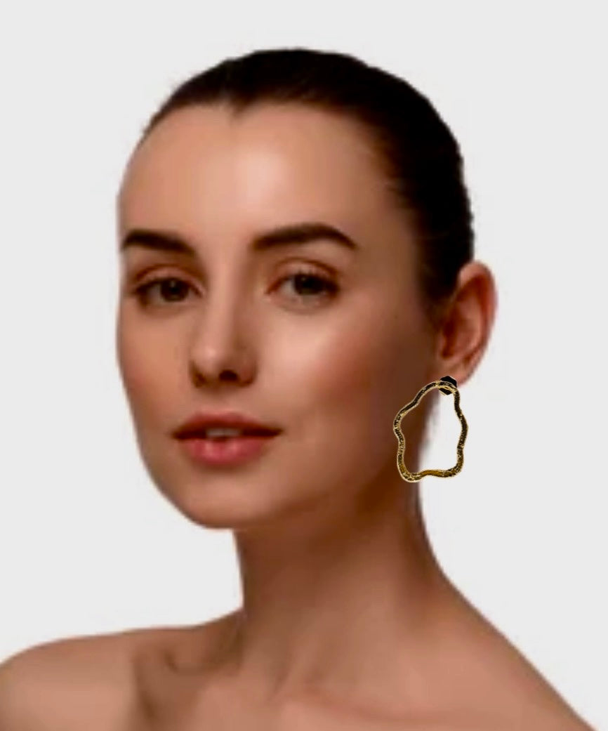 Fashion earrings